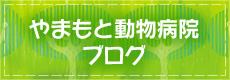 やまもと動物病院ブログ