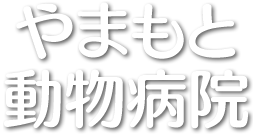 やまもと動物病院