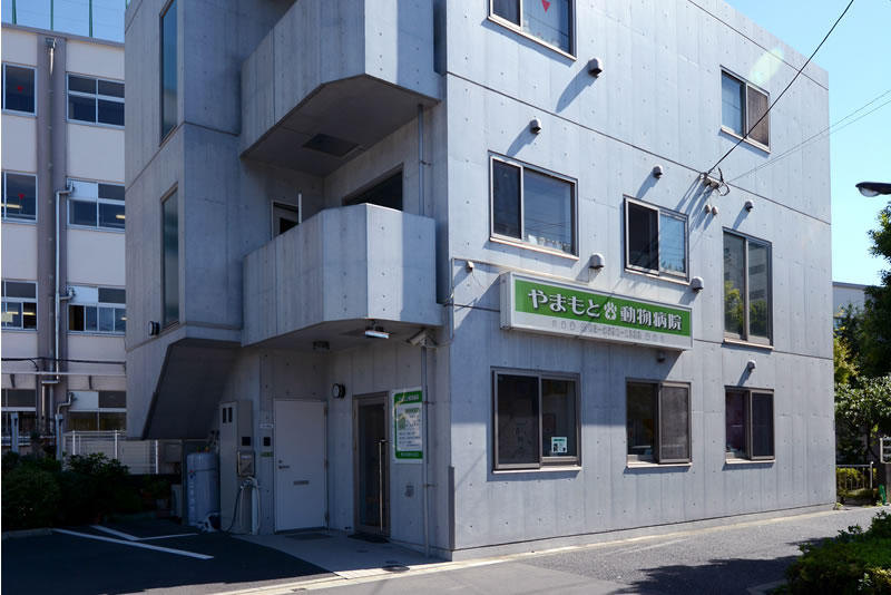 外観