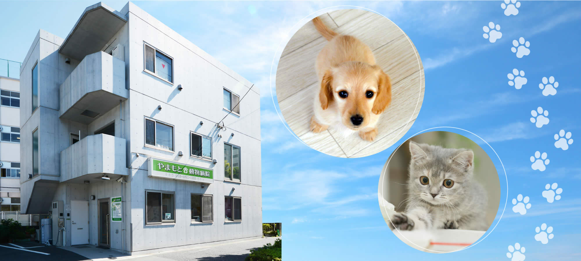 やまもと動物病院　竹ノ塚駅 犬・猫　駐車場3台
